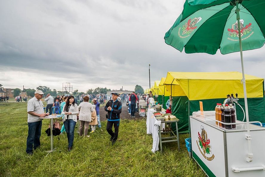 Авиашоу-2017 в Тамбове - 6
