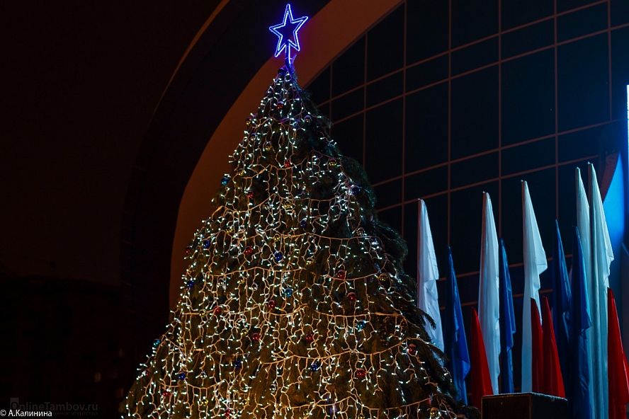Открытие "Новогодней поляны - 2018" в Тамбове - 10