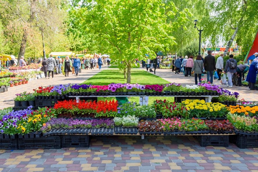 Фестиваль цветов-2023 - 29