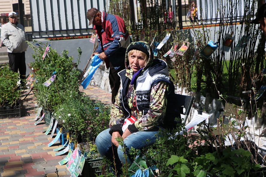 Фестиваль цветов, 2018 - 4