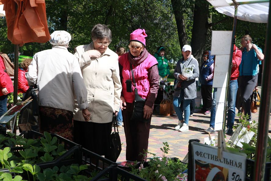 Фестиваль цветов, 2018 - 25