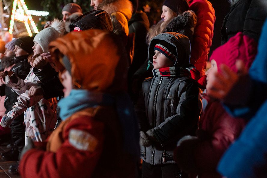 Новогодняя поляна в Тамбове (2019) - 5