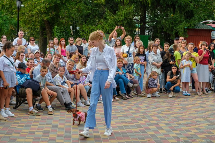 Парад-променад домашних животных - 33