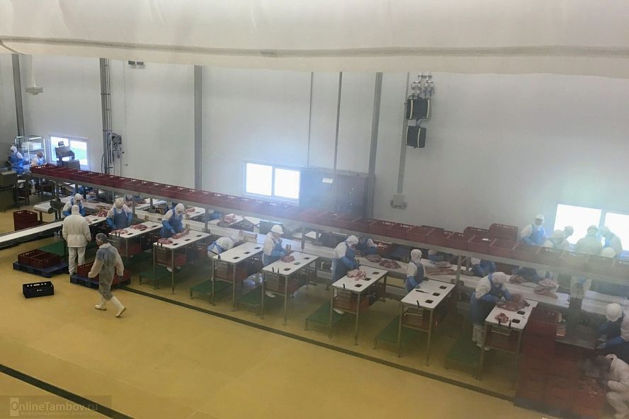 Ашан-Россия, открытие центра распределения в Тамбове - 8