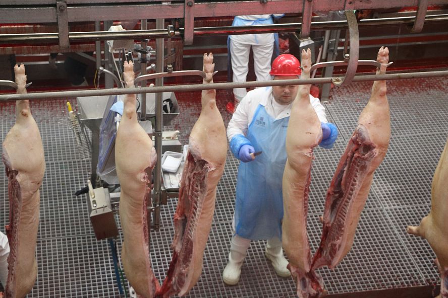 Убойное и мясоперерабатывающее производство в селе Борщевка - 2