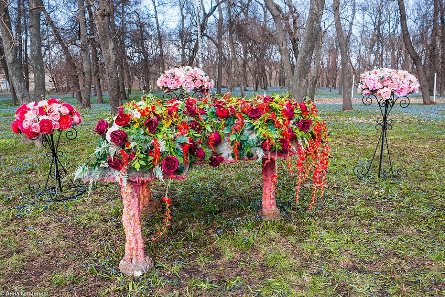 Праздник первоцвета в Знаменском районе - 1