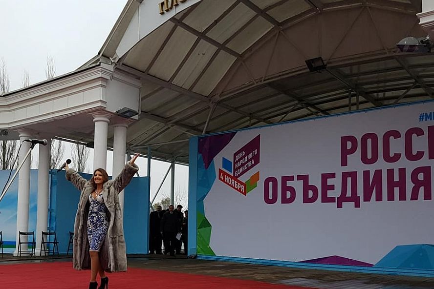 Митинг-концерт на День народного единства - 0