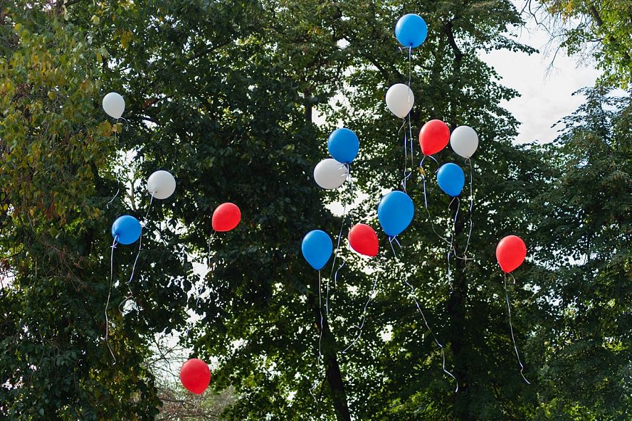 Торжественная линейка в парке культуры - 16