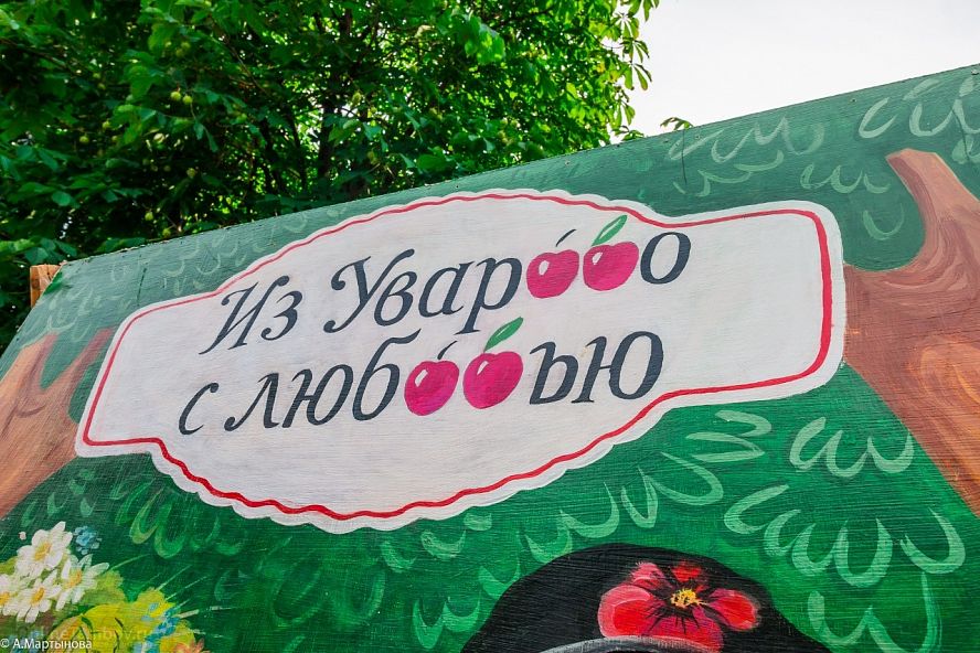 "Вишнёвый сад"-2017 - 8