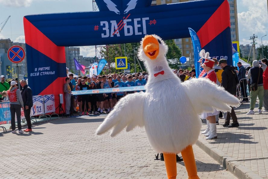 Забег.рф - 14