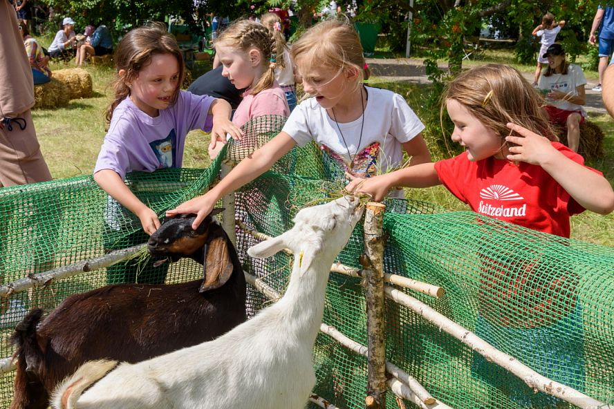 Фестиваль сыра - 31