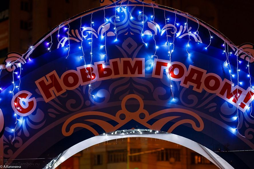 Открытие "Новогодней поляны - 2018" в Тамбове - 22