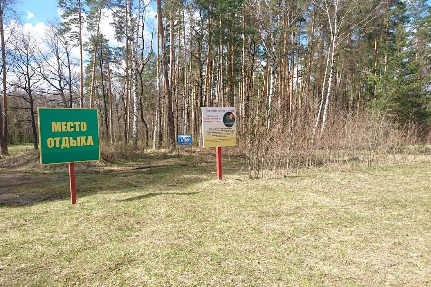 Чучело волка на трассе Тамбов-Пенза - 7