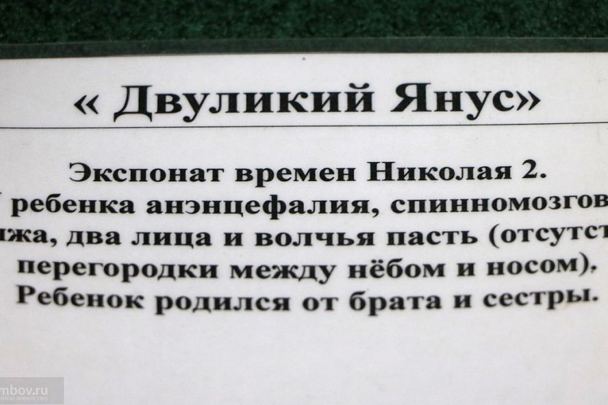 Музей восковых фигур - 9